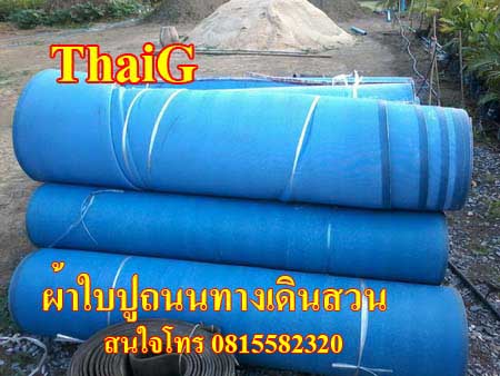 สายพานลำเลียง ปูถนน