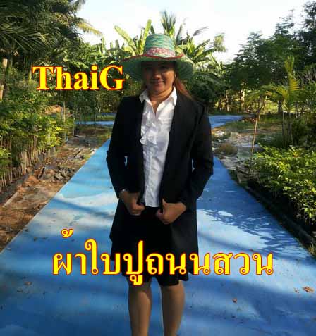 ผ้าใบ ปูถนนสวน