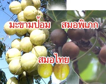 สูตรดีทอกซ์ ร่างกาย ล้างลำใส่้