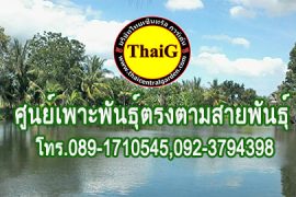 ศูนย์เพาะพันธุ์ไม้ ขยายพันธุ์ไม้