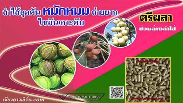 ตรีผลา ยาล้าง ลำใส้อุดตัน ขับไขมันปรับระบบสมดุลขับถ่าย