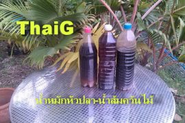 ปุ๋ยน้ำหมัก หัวปลา สูตรกูหมักเอง