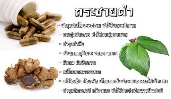 กระชายดำ สรรพคุณที่หลายคนอย่างรู้ค่ะ