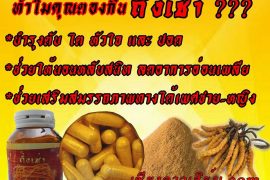 โรคไต ตับ โรคภมูิแพ้ "ถั่งเช่า"