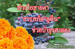 Lutein ลูทีน บำรุงสายตา