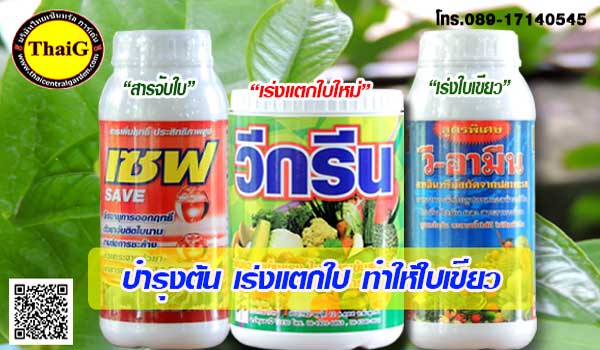 ปุ๋ยฮอร์โมนอาหารเสริม วีกรีน วีอามีน สารจับใบ เซฟ